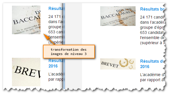 Exemple RENE optimiseImages.transformToSquareImagesLevel3